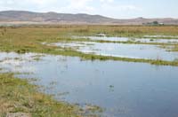 MiscIrrigationPhoto_262