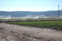 MiscIrrigationPhoto_279