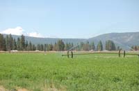 MiscIrrigationPhoto_288