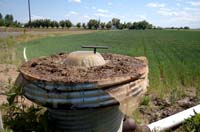 MiscIrrigationPhoto_297