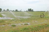 MiscIrrigationPhoto_311