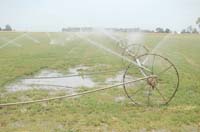 MiscIrrigationPhoto_313