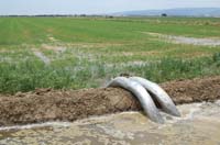 MiscIrrigationPhoto_314