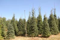 MiscIrrigationPhoto_322