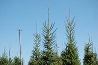 MiscIrrigationPhoto_323