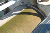 MiscIrrigationPhoto_353