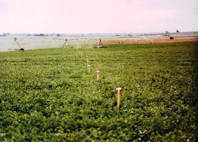 CenterPivotPhoto_004