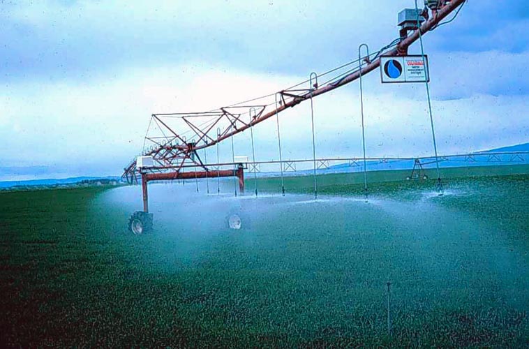 CenterPivotPhoto_006