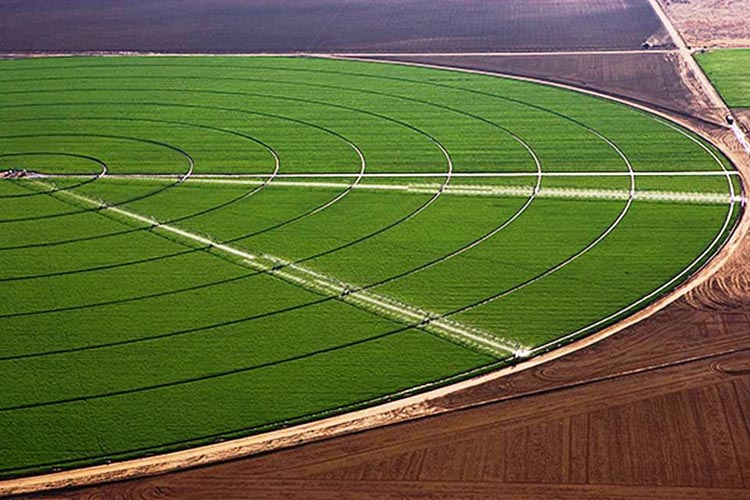 CenterPivotPhoto_016