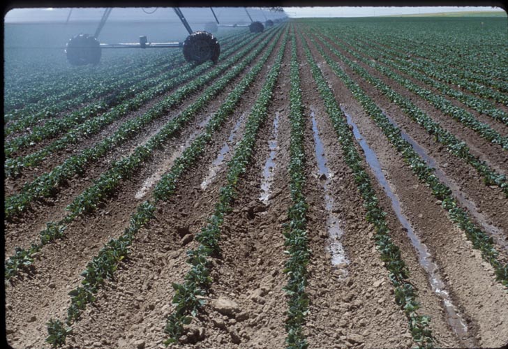 CenterPivotPhoto_019