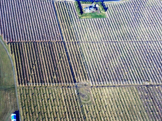 CenterPivotPhoto_026