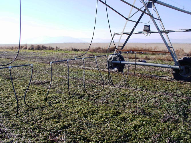 CenterPivotPhoto_028