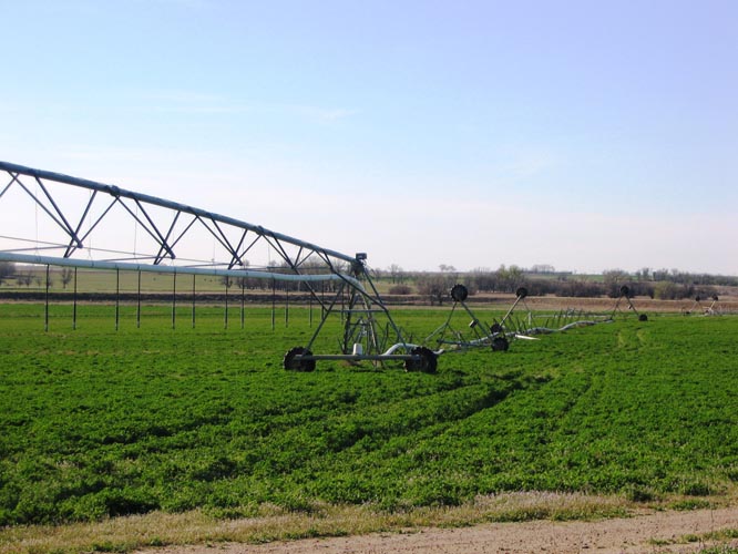 CenterPivotPhoto_035