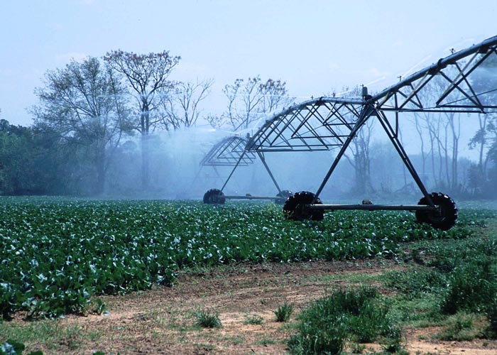 CenterPivotPhoto_037