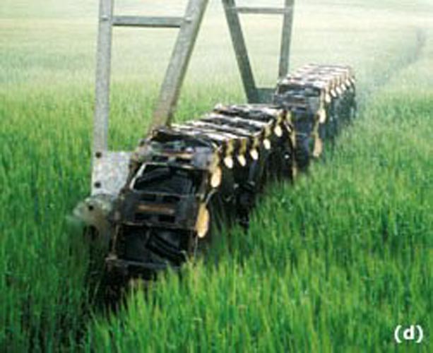 CenterPivotPhoto_039