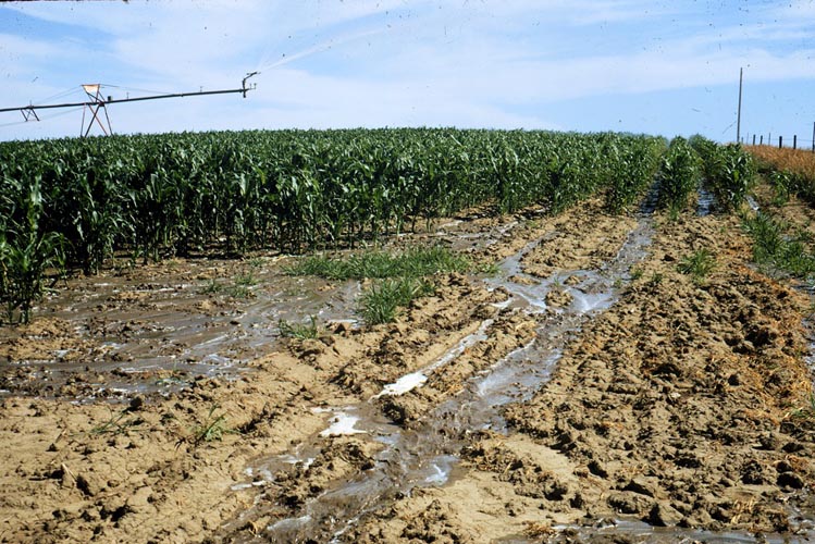 CenterPivotPhoto_041