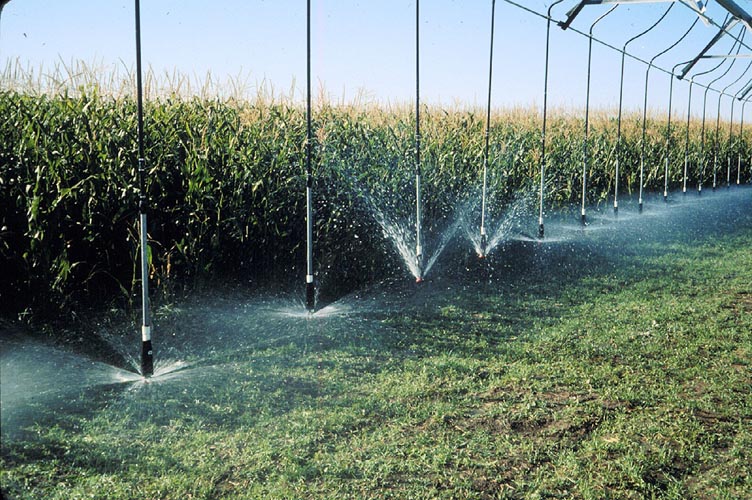 CenterPivotPhoto_044