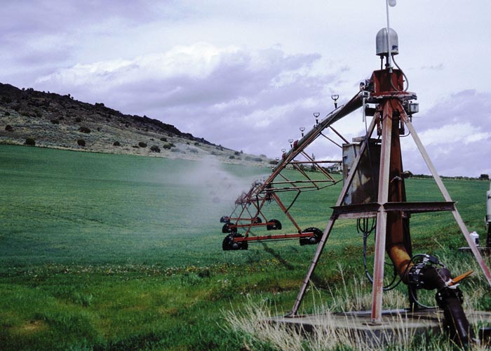 CenterPivotPhoto_045