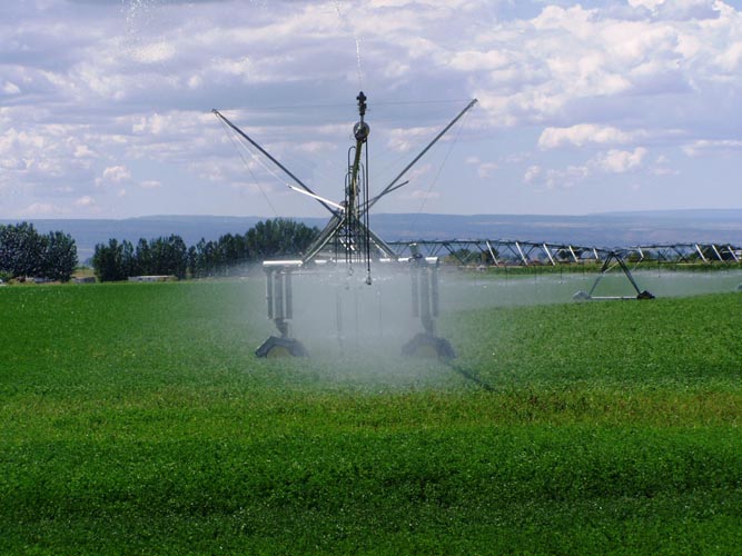 CenterPivotPhoto_048