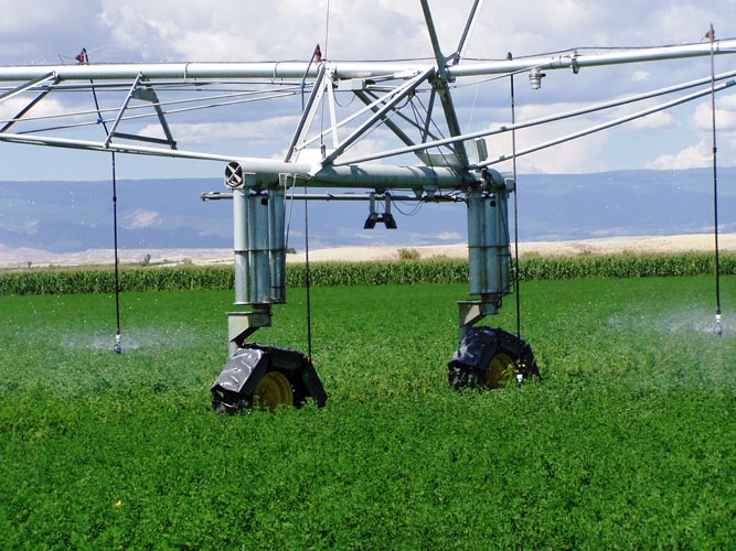 CenterPivotPhoto_049