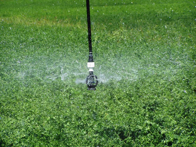 CenterPivotPhoto_052