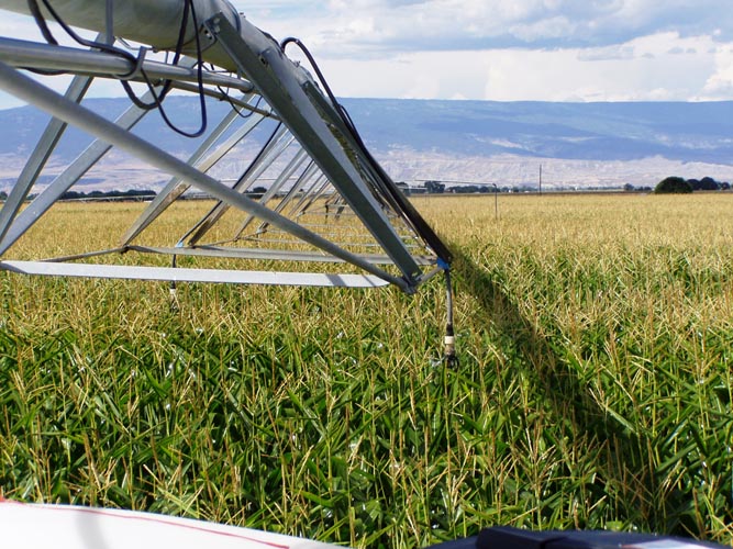 CenterPivotPhoto_061