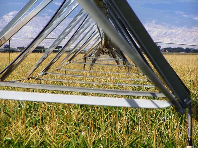 CenterPivotPhoto_062