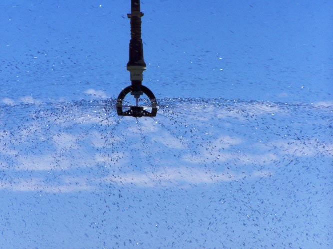 CenterPivotPhoto_071