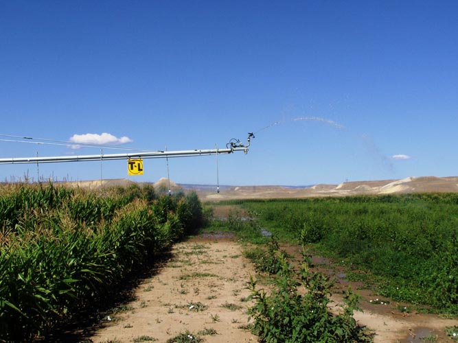 CenterPivotPhoto_075