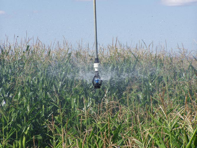 CenterPivotPhoto_077