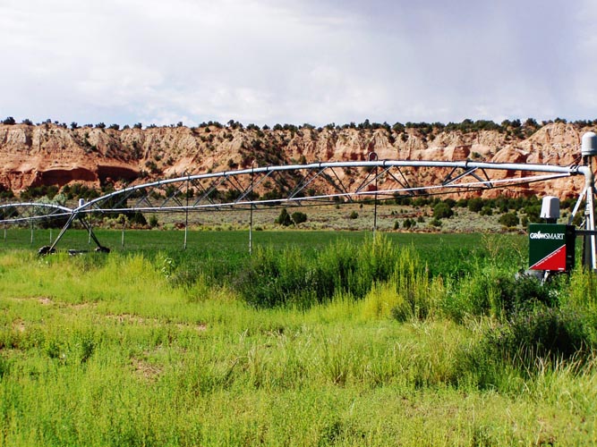 CenterPivotPhoto_079