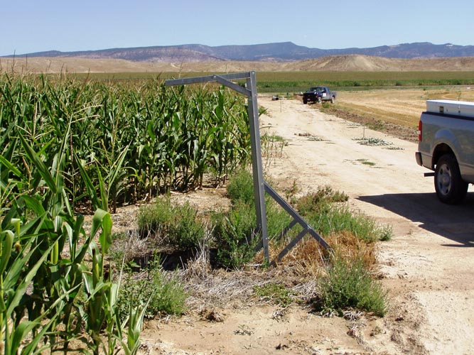 CenterPivotPhoto_082