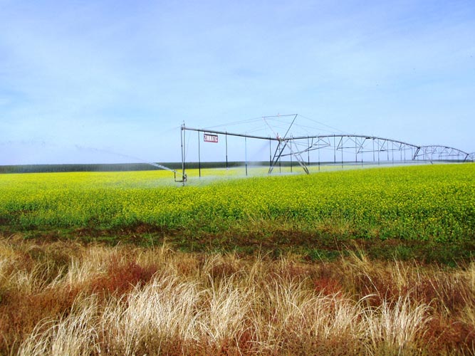 CenterPivotPhoto_085