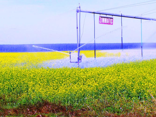 CenterPivotPhoto_087