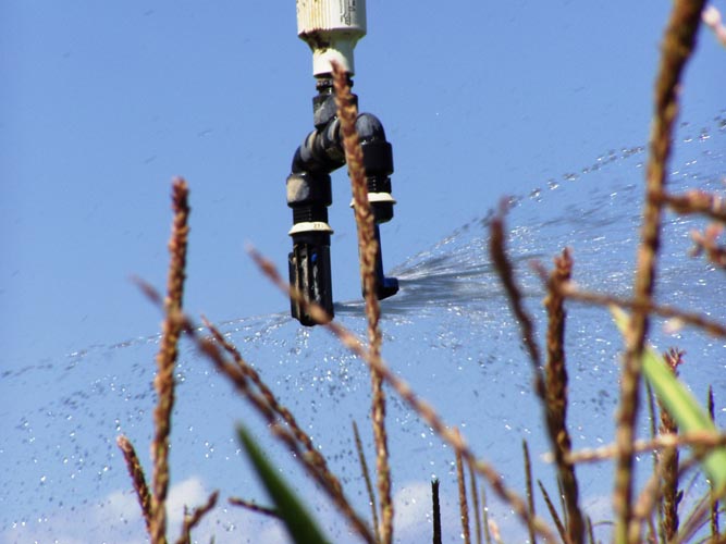 CenterPivotPhoto_088