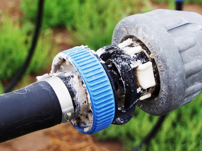 CenterPivotPhoto_089