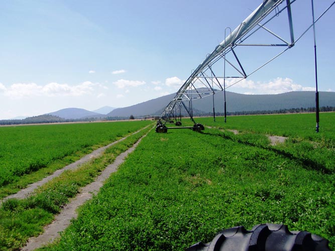 CenterPivotPhoto_110