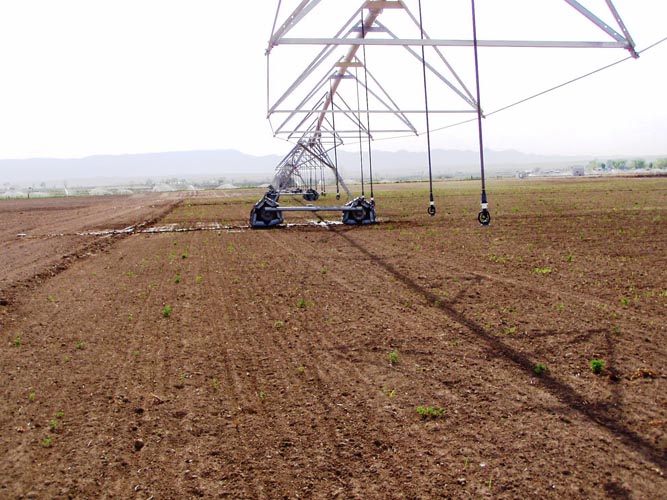 CenterPivotPhoto_117