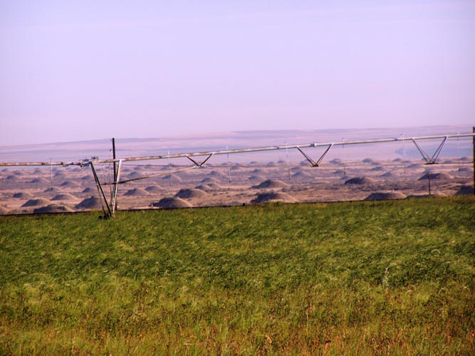 CenterPivotPhoto_123