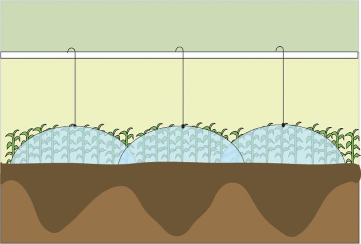 late wide Sprinkler spacing
