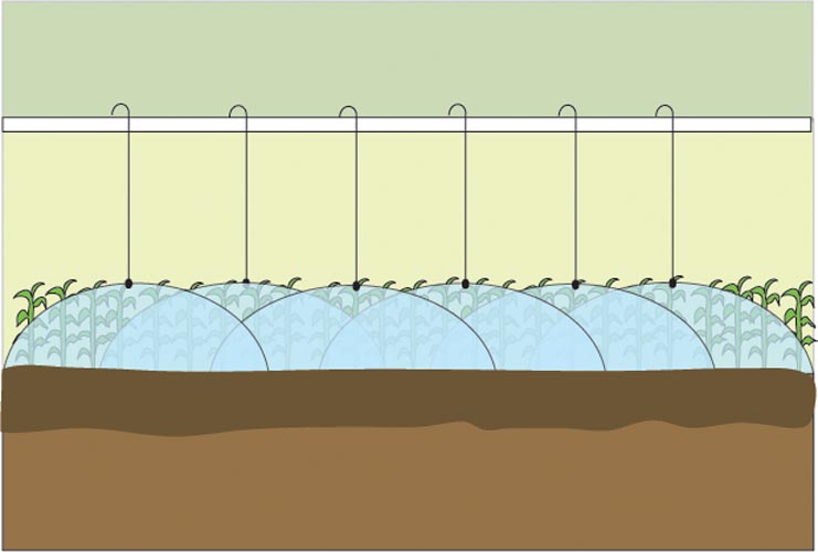 narrowSprinkler spacing
