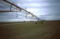 CenterPivotPhoto_001