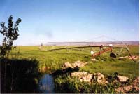 CenterPivotPhoto_003