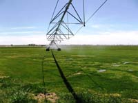 CenterPivotPhoto_008