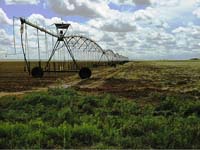 CenterPivotPhoto_011