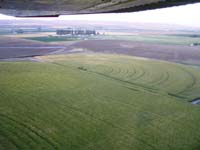 CenterPivotPhoto_012