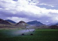 CenterPivotPhoto_020