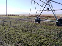 CenterPivotPhoto_028