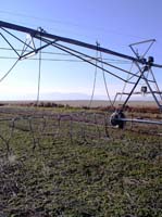 CenterPivotPhoto_029