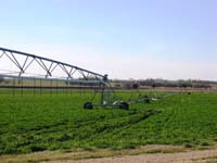 CenterPivotPhoto_035